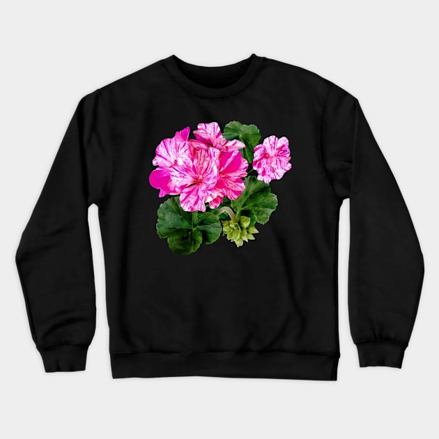 Two Pink and White Striped Geraniums Crewneck Sweatshirt by SusanSavad